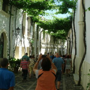Winery in Jerez