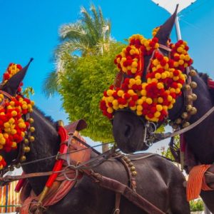depositphotos_61318107-stock-photo-pretty-horses-with-colorful-ornaments