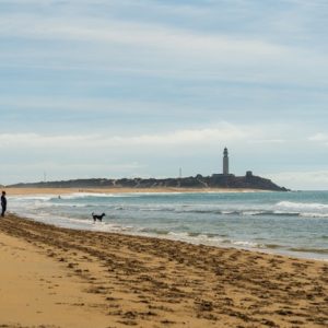 hermosa-foto-playa-arena-zahora-espana_181624-15089