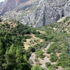 rio-guadalhorce-camino-caminito-rey_137916-181