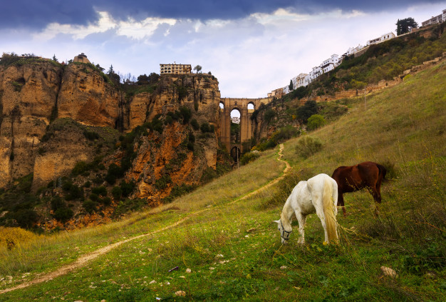 Tour durch Ronda: 10 Dinge, die man in Ronda an einem Tag sehen kann 9 vista dia ronda puente nuevo 1398 5985