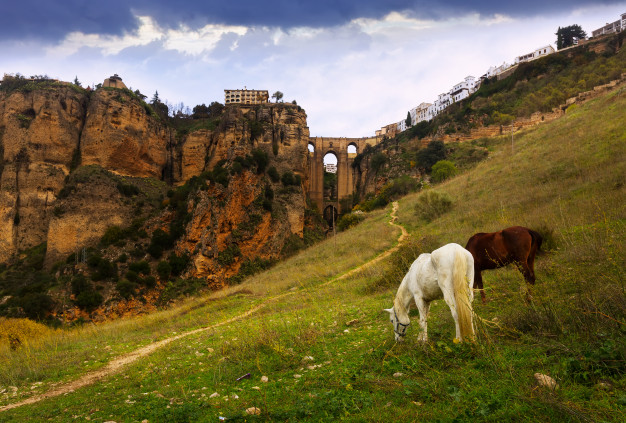 vista dia ronda puente nuevo 1398 5985