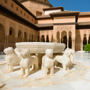 Curiosities of the courtyard of the lions