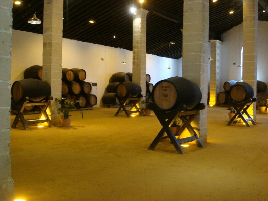 Die besten Dinge, die man in Jerez de la Frontera sehen und tun kann 11 DSC00816 1 1