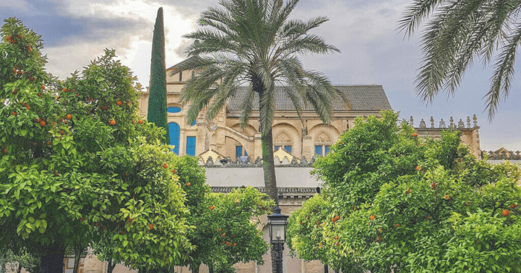 Nachtbesuch Moschee-Kathedrale von Cordoba 2 Höfe der Orangenbäume in der Moschee von Cordoba 1