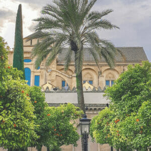 Patios-de-los-naranjos-en-la-mezquita-de-cordoba-1