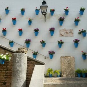 Patios cordobeses