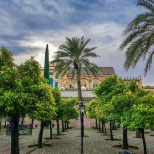 visita nocturna mezquita (4)