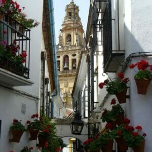 Excursion to Cordoba from Malaga