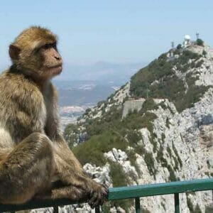 climb the Rock of Gibraltar on foot