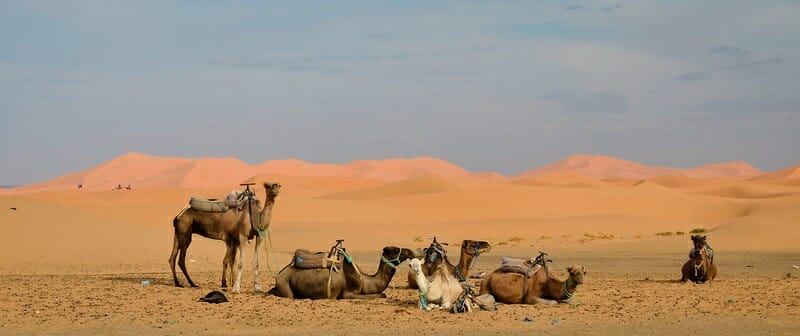 Que faire au Maroc à Noël