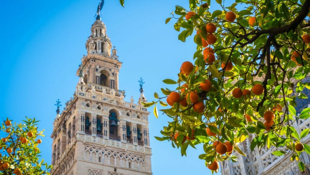 What to see in Seville