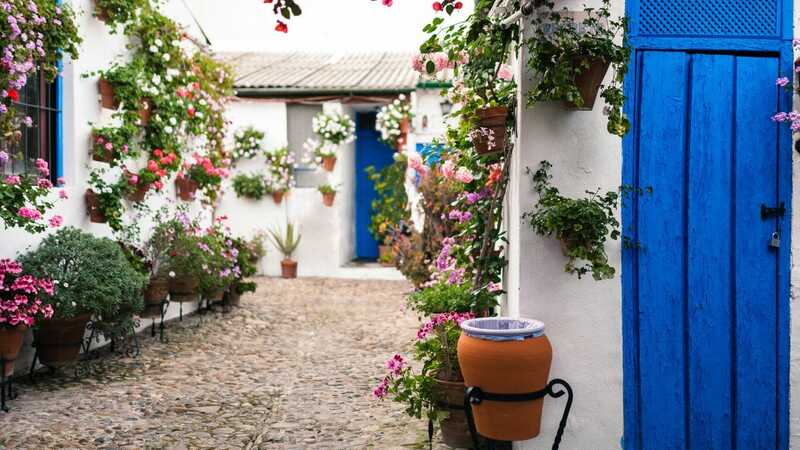 Cordoba Courtyards Festival