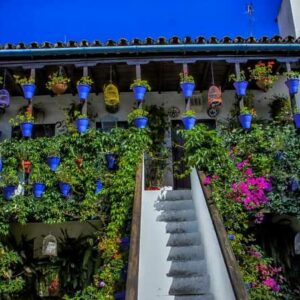 Courtyards of Cordoba 2024