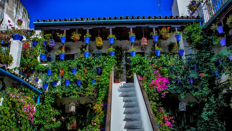 The courtyards of Cordoba are another of the things to see for free in Cordoba.