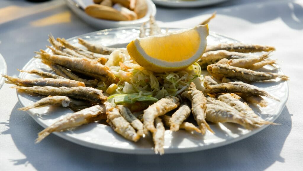 5 Typical dishes from Malaga that you have to try 3 anchovies malaga