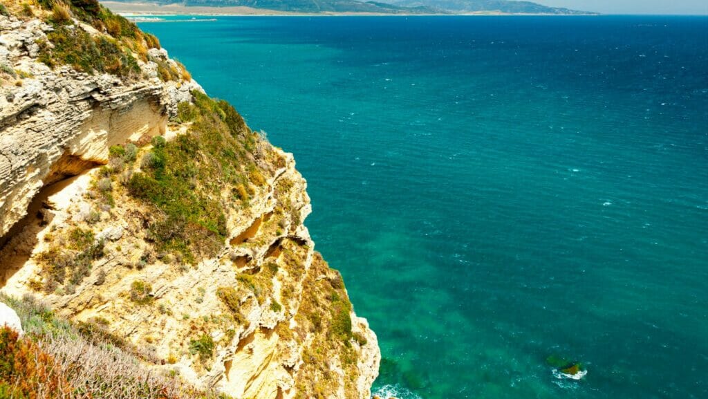 Parc naturel de la Brena et des Marismas del Barbate