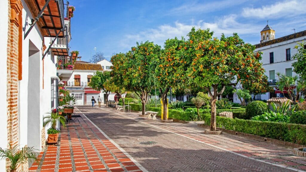 Orange trees square marbella