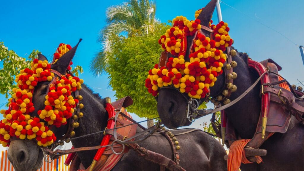 caballo jerez