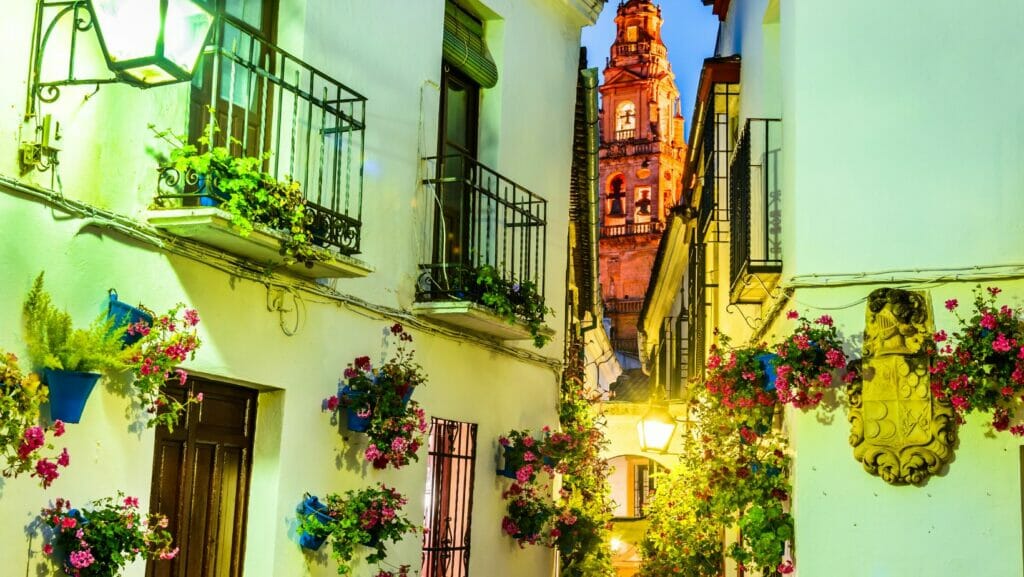 night visit to the mosque of cordoba 3