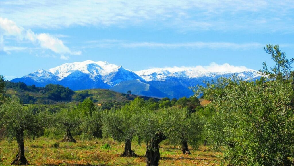 weekend in Ronda sierra de las nieves