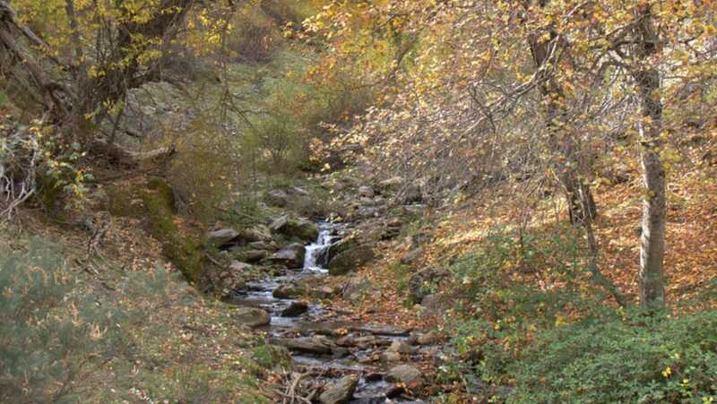Lugros, der verzauberte Wald von Granada 1 Wanderung durch den verzauberten Wald von Granada
