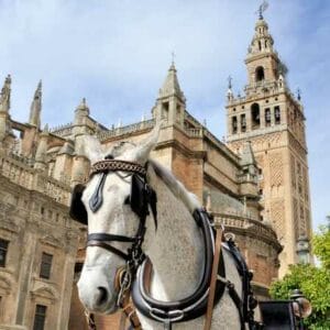 La Catedral de Sevilla