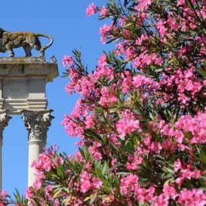 monument Murillo Gardens in Seville