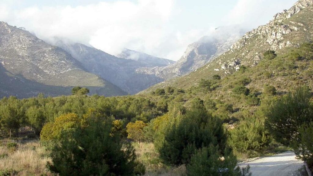 Sierras de Tejeda Almijara y Alhama