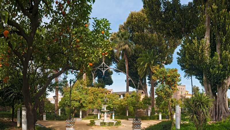 Los Jardines de Murillo de Sevilla 2 Fuente y paseo arbolado en los Jardines de Murillo