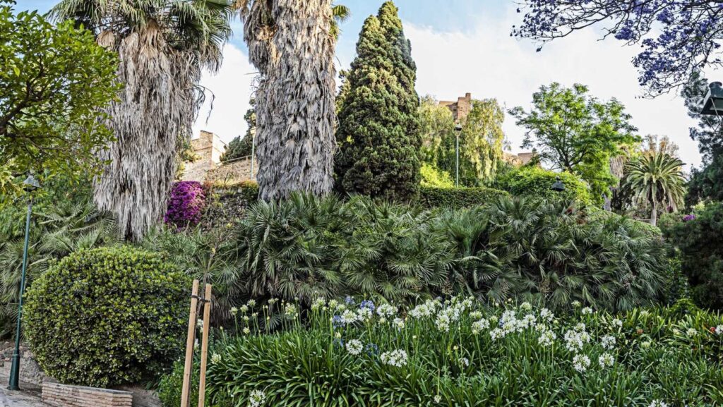 Jardines de Puerta Oscura: belleza verde en Málaga 4 Jardin puerta oscura 3