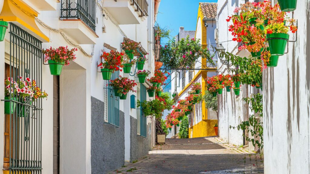 10 imprescindibles que ver en Estepona 2 calle de las flores que ver en estepona