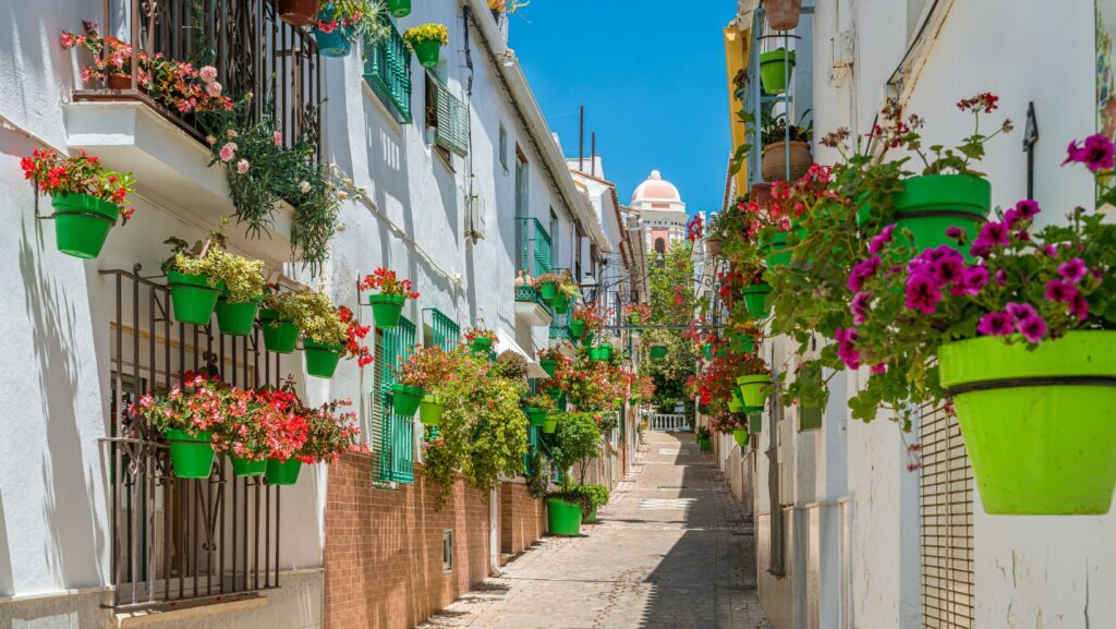 Parque Botánico Estepona: Flora diversa. 5 que ver en estepona