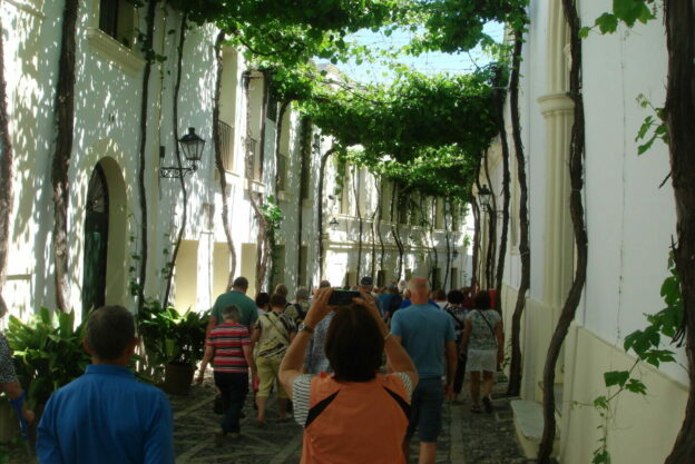 Cave à Jerez