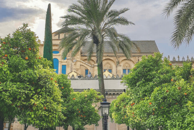 Courtyards of the orange trees in the Mosque of Cordoba