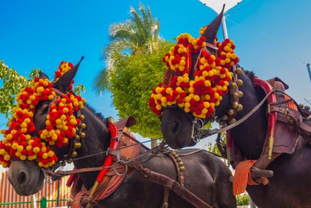 depositphotos_61318107-stock-photo-pretty-horses-with-colorful-ornaments