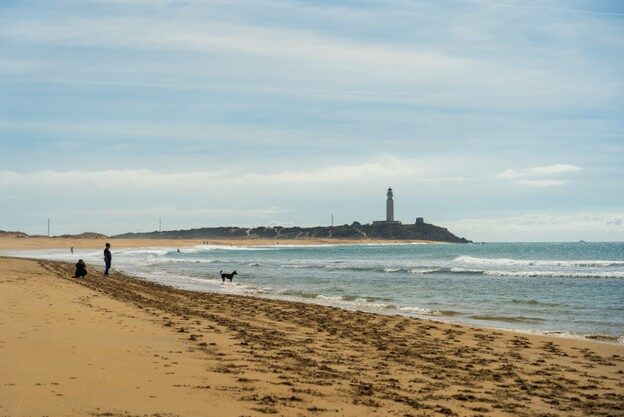 hermosa-foto-playa-arena-zahora-espana_181624-15089