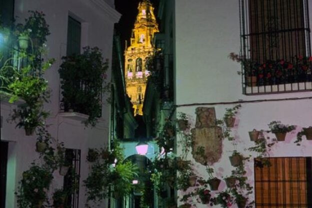 visita nocturna mezquita (1)